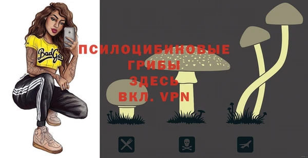 метадон Бородино
